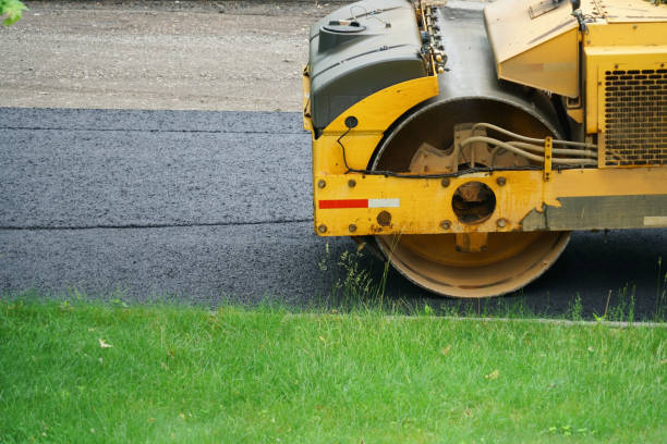 Best Decorative Driveway Pavers  in Mesquite, NV